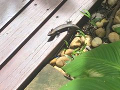 -迪瓦娜按摩和水疗中心