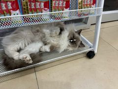 -美迦爱-牙专科·兔科·骨科诊疗中心(北苑店)