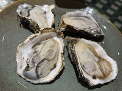 -蚝歌(中山七路店)