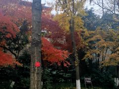 -狼山风景名胜区