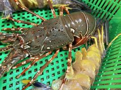 -班赞海鲜市场