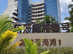 -东郊椰林