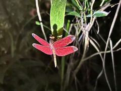 -石溪公园