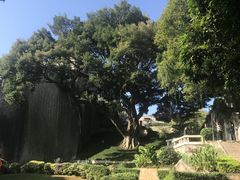 -八婆婆烧仙草(中山路店)