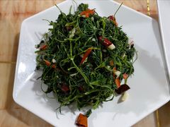 -煲来饱去冷水鱼