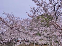 -幕燕滨江·长江观音景区