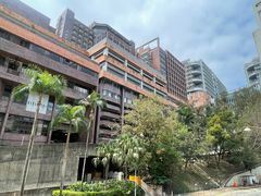-香港大学