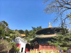 -潭柘寺景区
