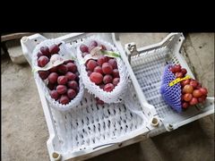 -马陆小张葡萄园农家乐