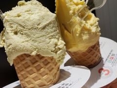 芒果-野人先生现做冰淇淋(北京顺义祥云小镇店)
