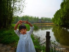 -溱湖国家湿地公园