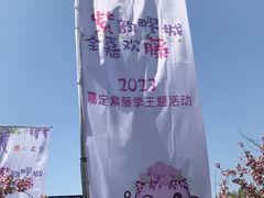 -嘉定紫藤园