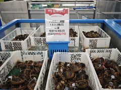 -麦德龙(浦东店)