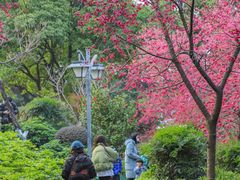 -乌山风景区