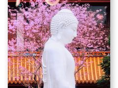 -天竺岩寺