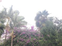 -南诏风情岛