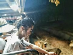 -清迈夜间动物园