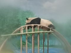 -杭州动物园