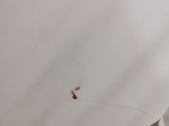 -魔尔公寓(广州动物园地铁站店)