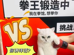 -拳盛时代拳击俱乐部(北京路店)