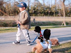 -前小桔亲子创意农场·草莓采摘·露营烧烤