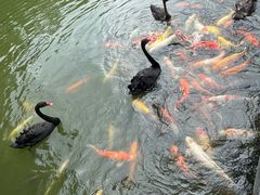 -珠海圆明新园