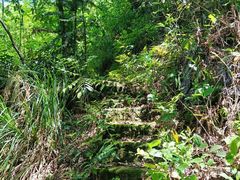 -铁山坪森林公园