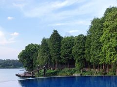 -白云湖畔酒店-湖畔餐厅