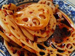 -食家鸽园