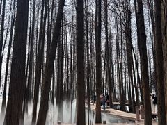 -东湖落雁景区