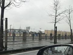 -迪士尼乐园停车场