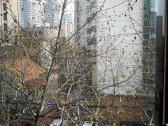 -上海市静安区图书馆(新闸路馆)