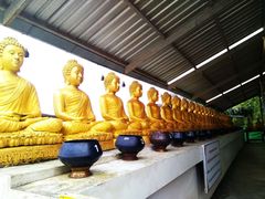 -查龙寺
