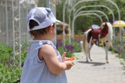 -萌宠亲子动物乐园(槐房万达店)