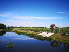 -东郊湿地公园