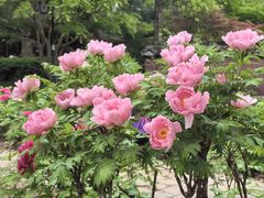 -六和塔文化公园