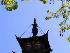 -嘉定紫藤园