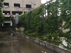 -广东紫坭糖厂(桥头路)
