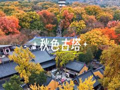 -灵谷景区
