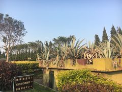 -大嶝英雄三岛战地观光园