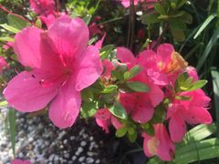 -看见远方·莫干遥远的山民宿