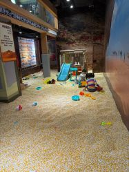 -卡通尼·Safari非洲探索乐园·生日会(金桥国际商业广场店)