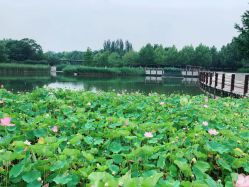 -大望京儿童游乐场