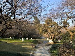 -杭州植物园