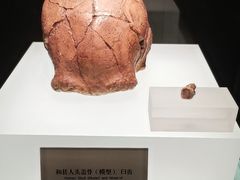 -安徽博物院新馆