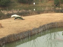 -无锡动物园·太湖欢乐园