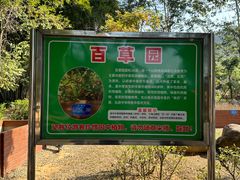-田心森林公园