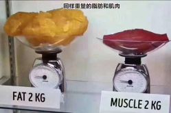 -Lily纤美·科技减脂中心
