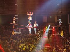 -俄罗斯国家大马戏团