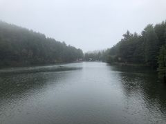 -四明山国家森林公园